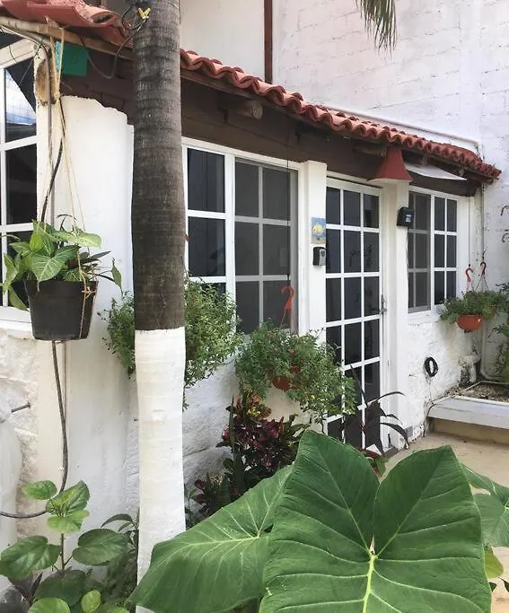 Casa Del Buzo Apartment Playa del Carmen